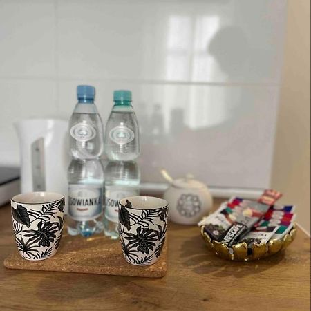 Keyif Apartamenty Katowice Zewnętrze zdjęcie